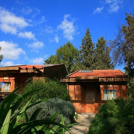 Zohar Badeshe Hotel Daliyya Bilik gambar