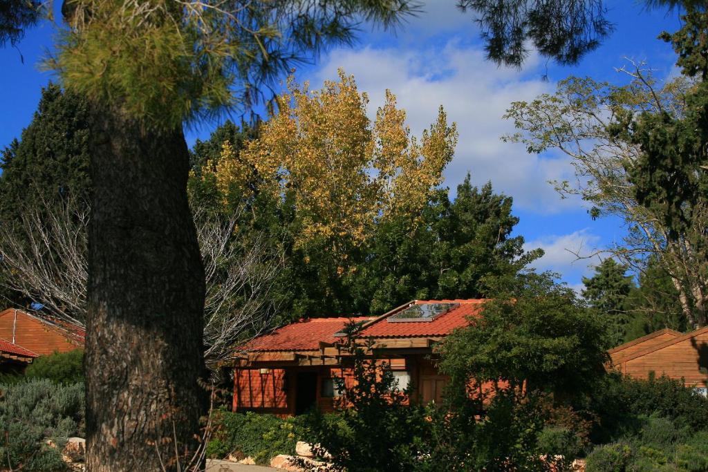 Zohar Badeshe Hotel Daliyya Bilik gambar